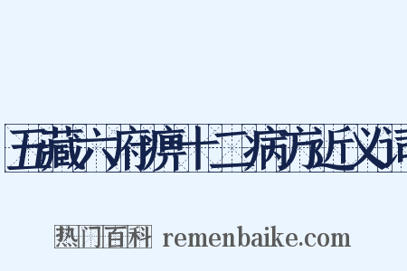 五藏六府痹十二病方近义词是什么意思的图片